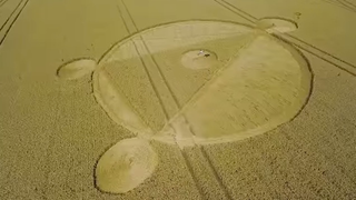 Illustration for article titled The Most Astonishing Crop Circle Artworks of 2014